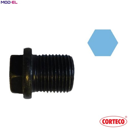 10x screw plug - 10x, sump