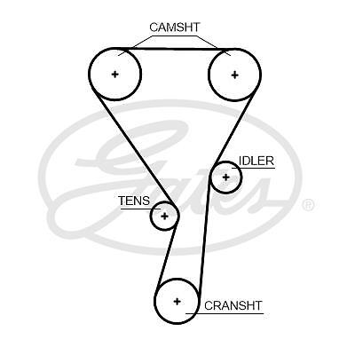 Gates 5699xs timing - belt, for