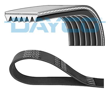 Ribbed belt dayco 6pk1250 - belt,