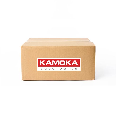 Thermostat 7710281 kamoka - thermostat, for