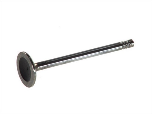 Intake valve 4937 scr - intake,