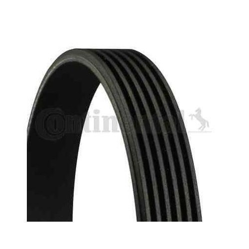 Continental ctam 6pk1256 - ctam,