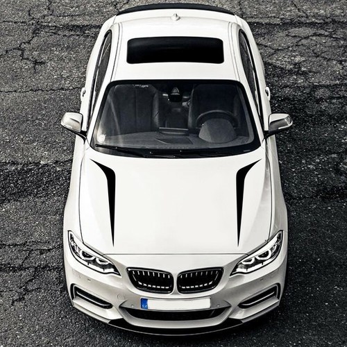Racing car bonnet hood stripe - hood,