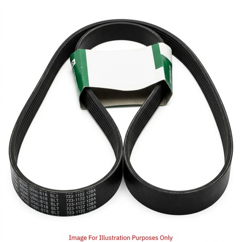 Ribbed belt fits - belt, chevrolet