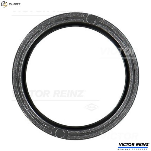 Shaft seal camshaft - shaft,