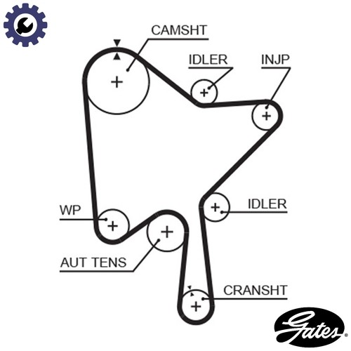 Timing belt 5686xs for volvo - timing,