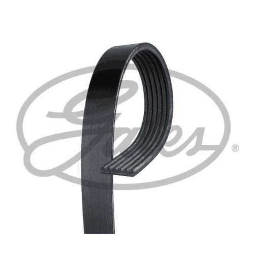 Gates micro multi - gates, multi-ribbed